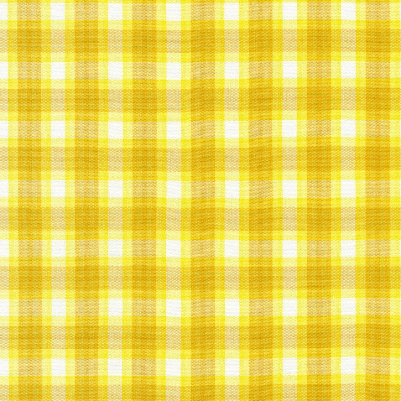 Kitchen Window Wovens - Citrus - Robert Kaufman Fabrics