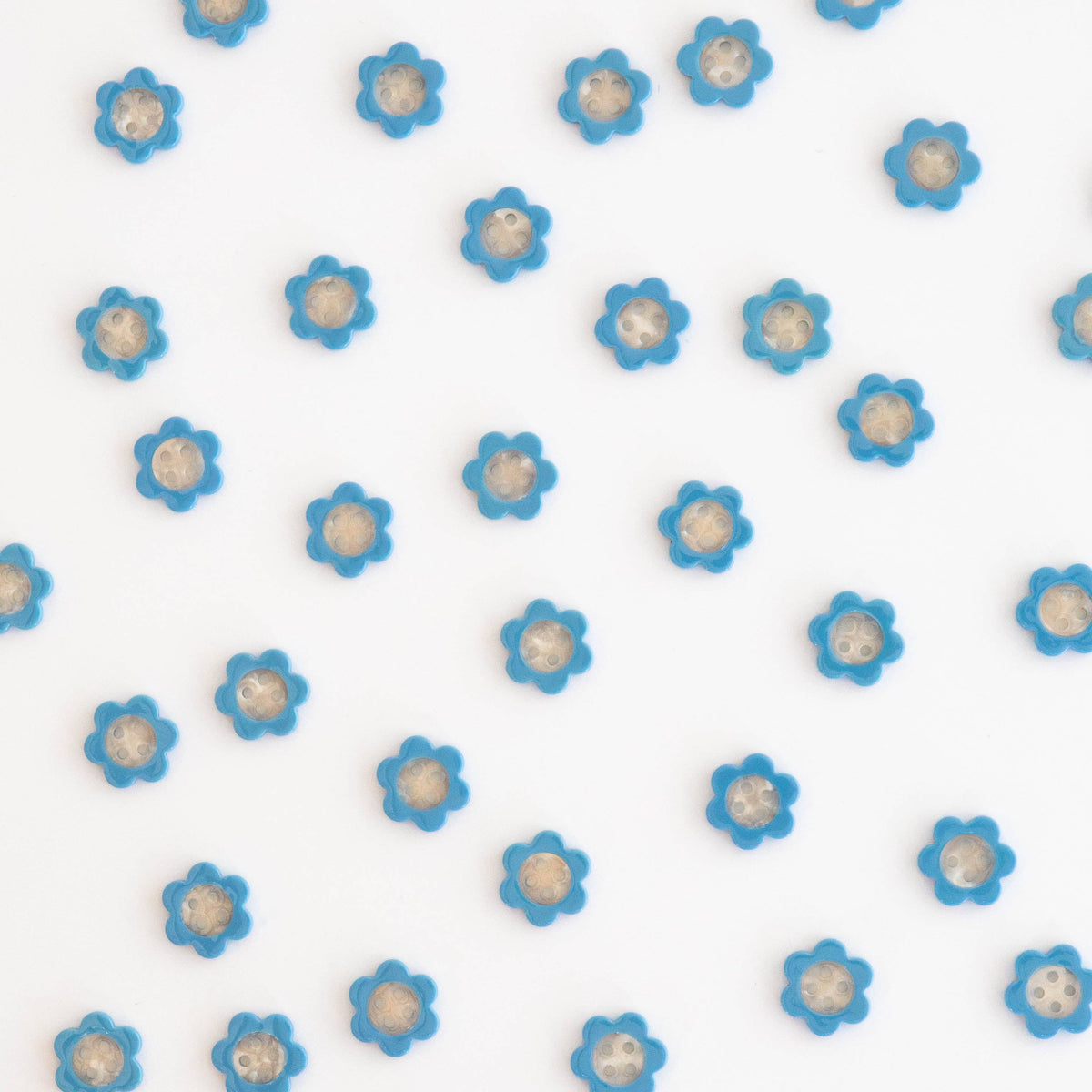 Blue Daisy Small 5/8" Buttons - by Sarah Hearts